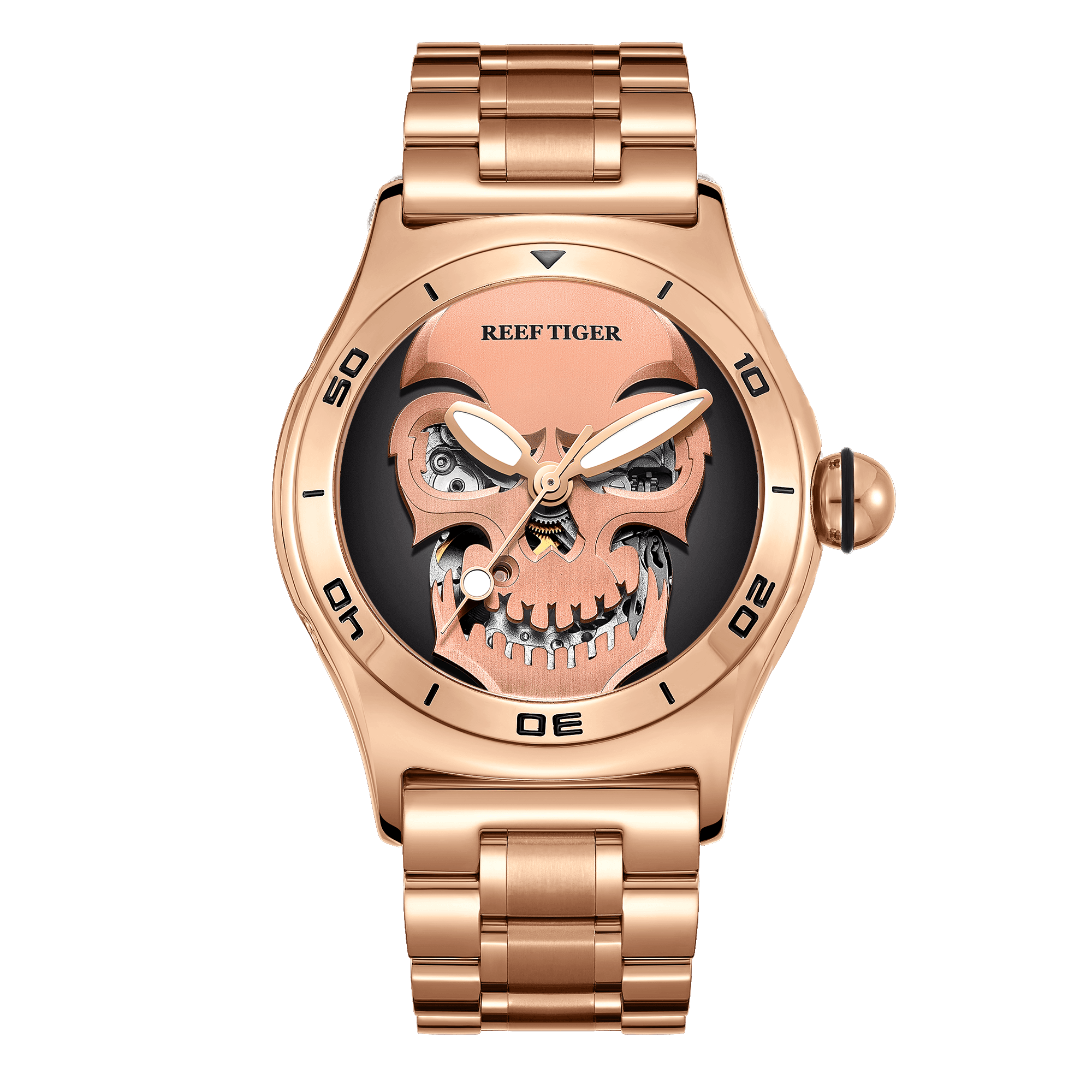 Reef Tiger Aurora Skull