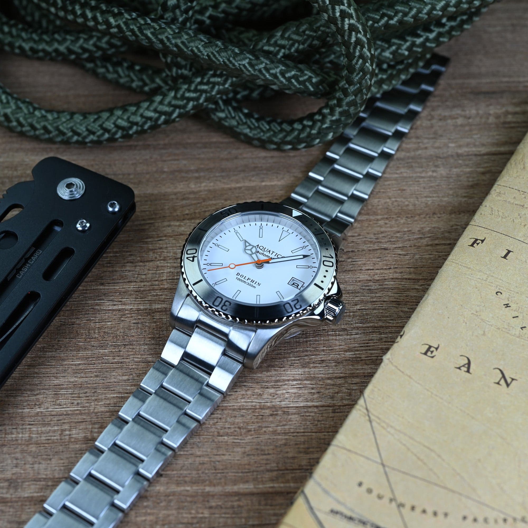AQUATICO Aquatico Dolphin 38mm Dive Watch White Dial (NH35)