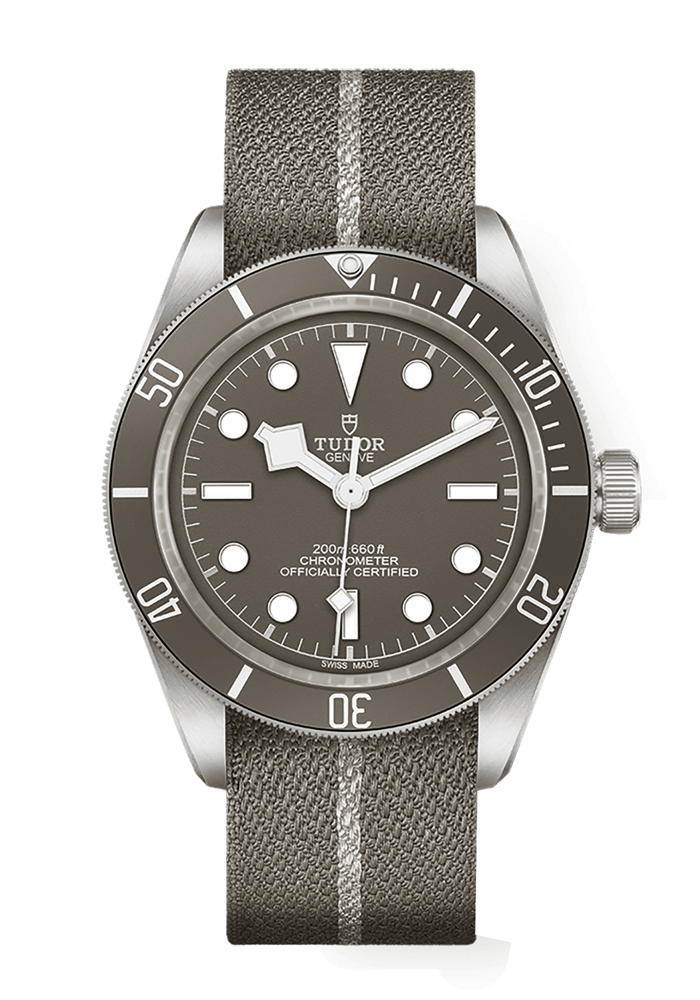 Tudor Black Bay