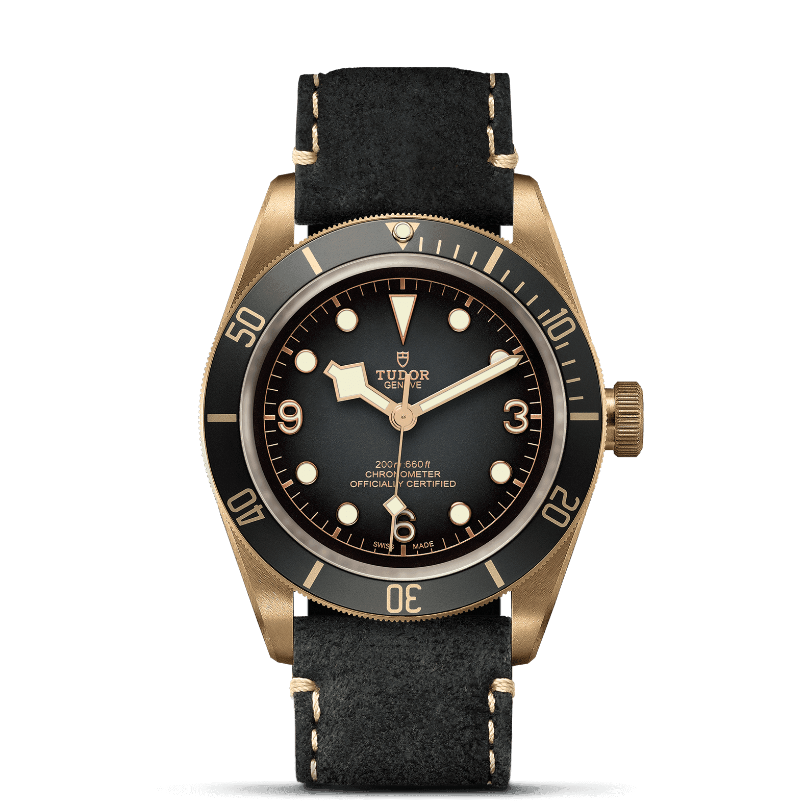 Tudor Black Bay