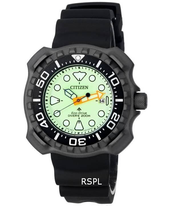 Citizen Promaster
