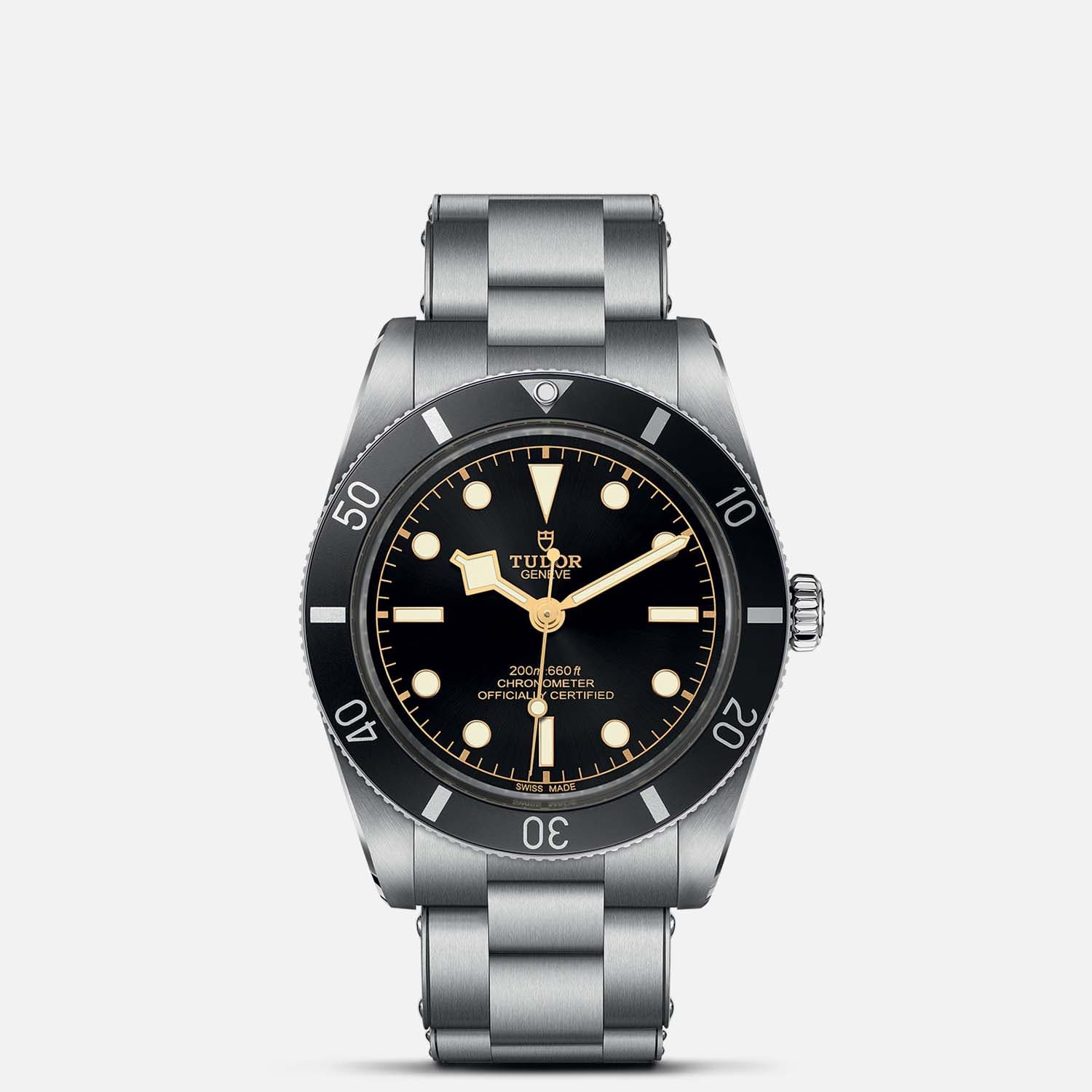 Tudor Black Bay