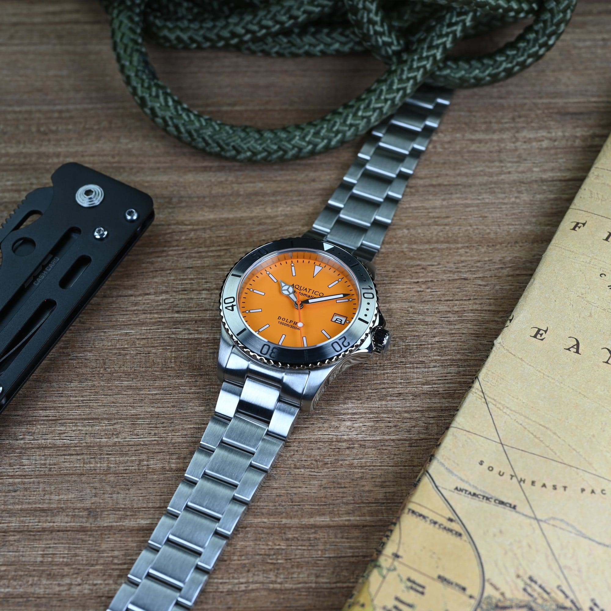 AQUATICO Aquatico Dolphin 38mm Orange Dial Watch