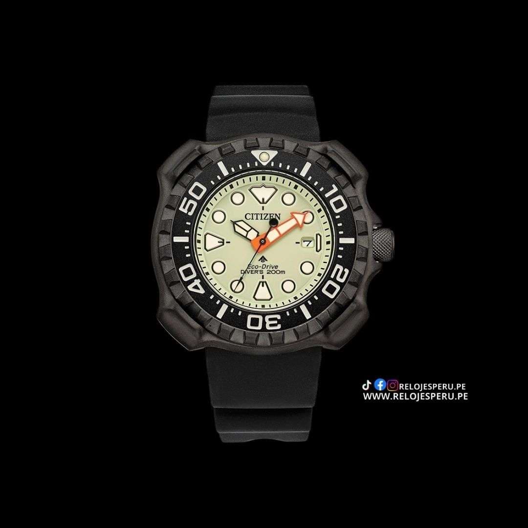 Citizen Promaster