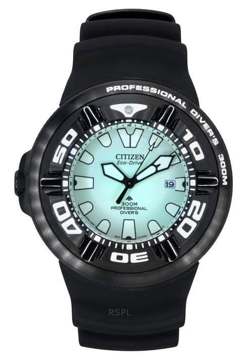 Citizen Promaster