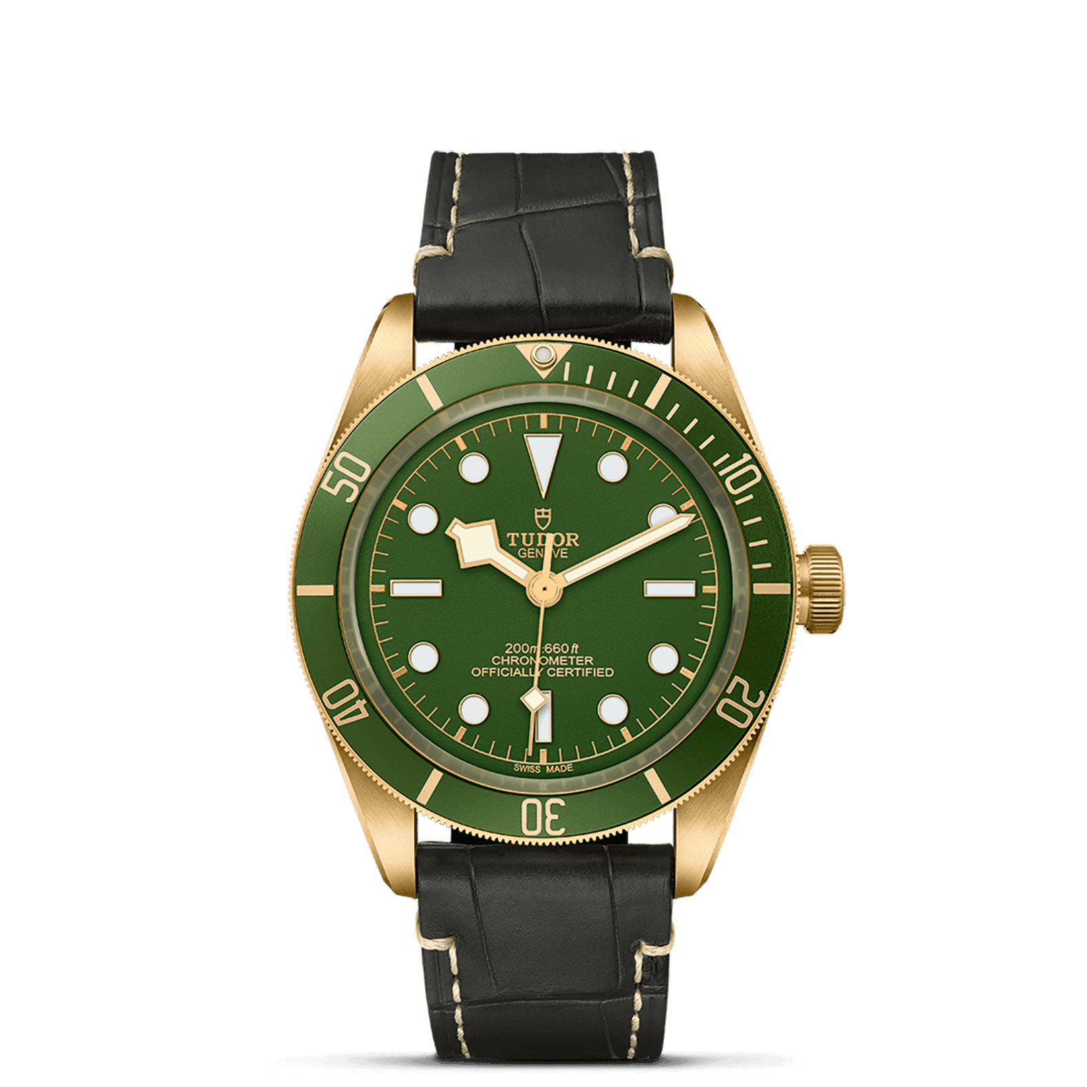 Tudor Black Bay