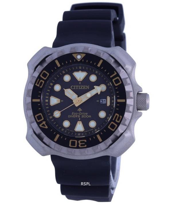 Citizen Promaster