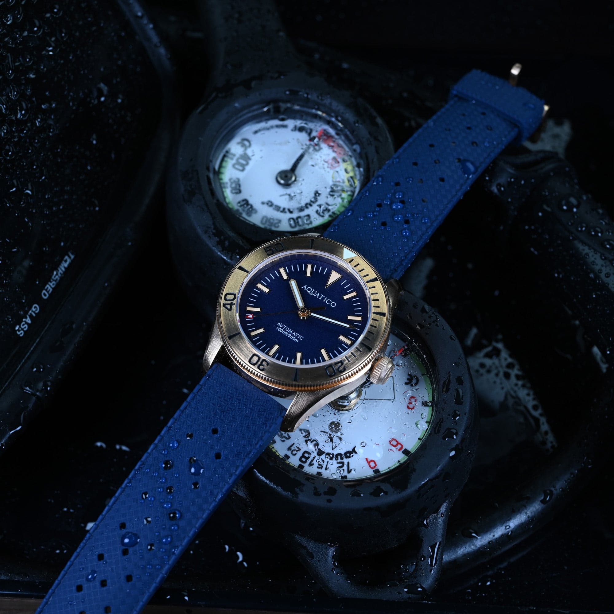 AQUATICO Bronze Raider Blue Dial