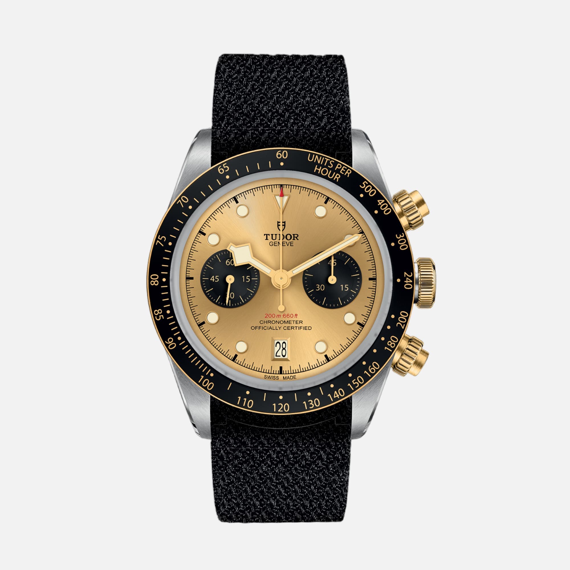 Tudor Black Bay