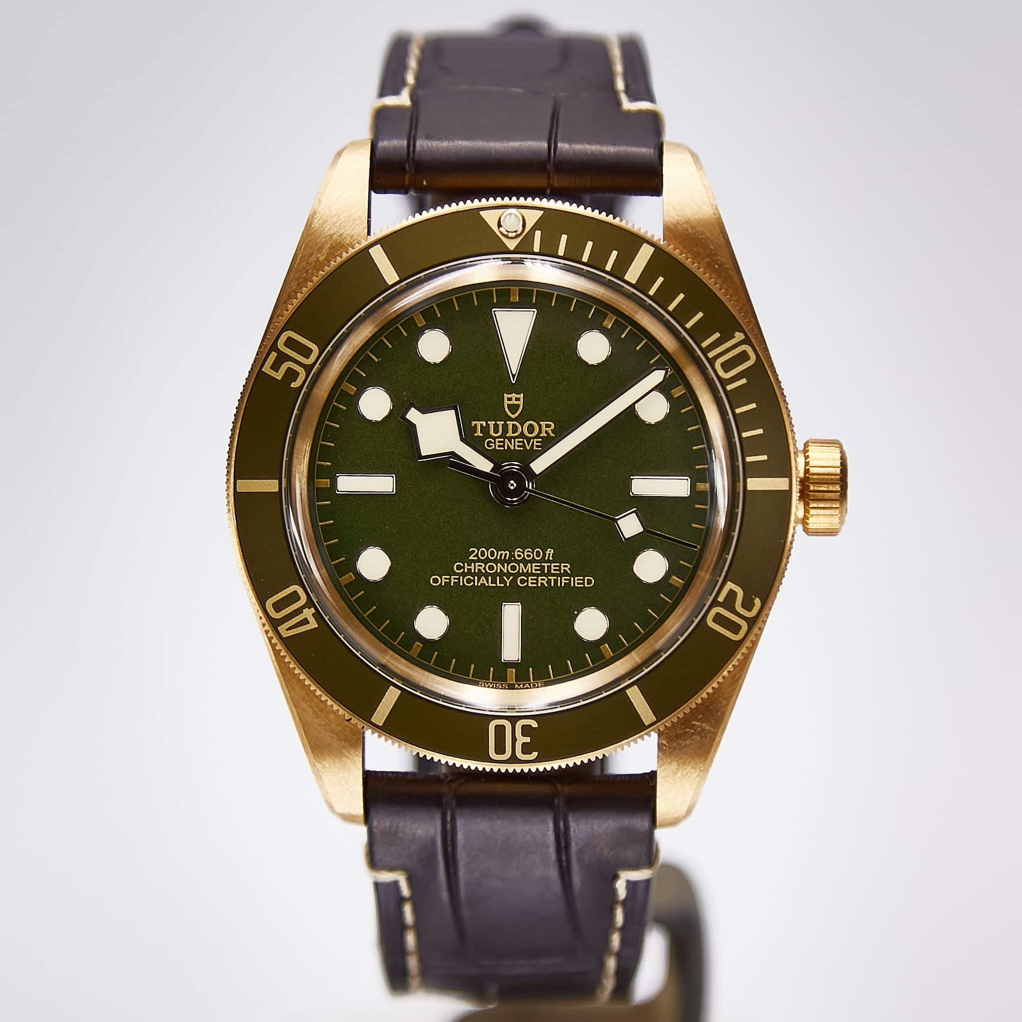 Tudor Black Bay