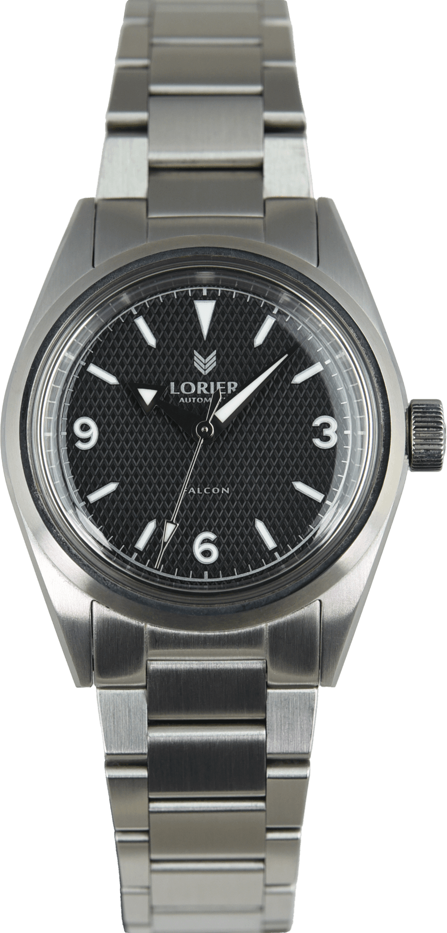 Lorier Falcon