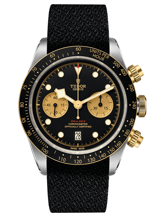 Tudor Black Bay