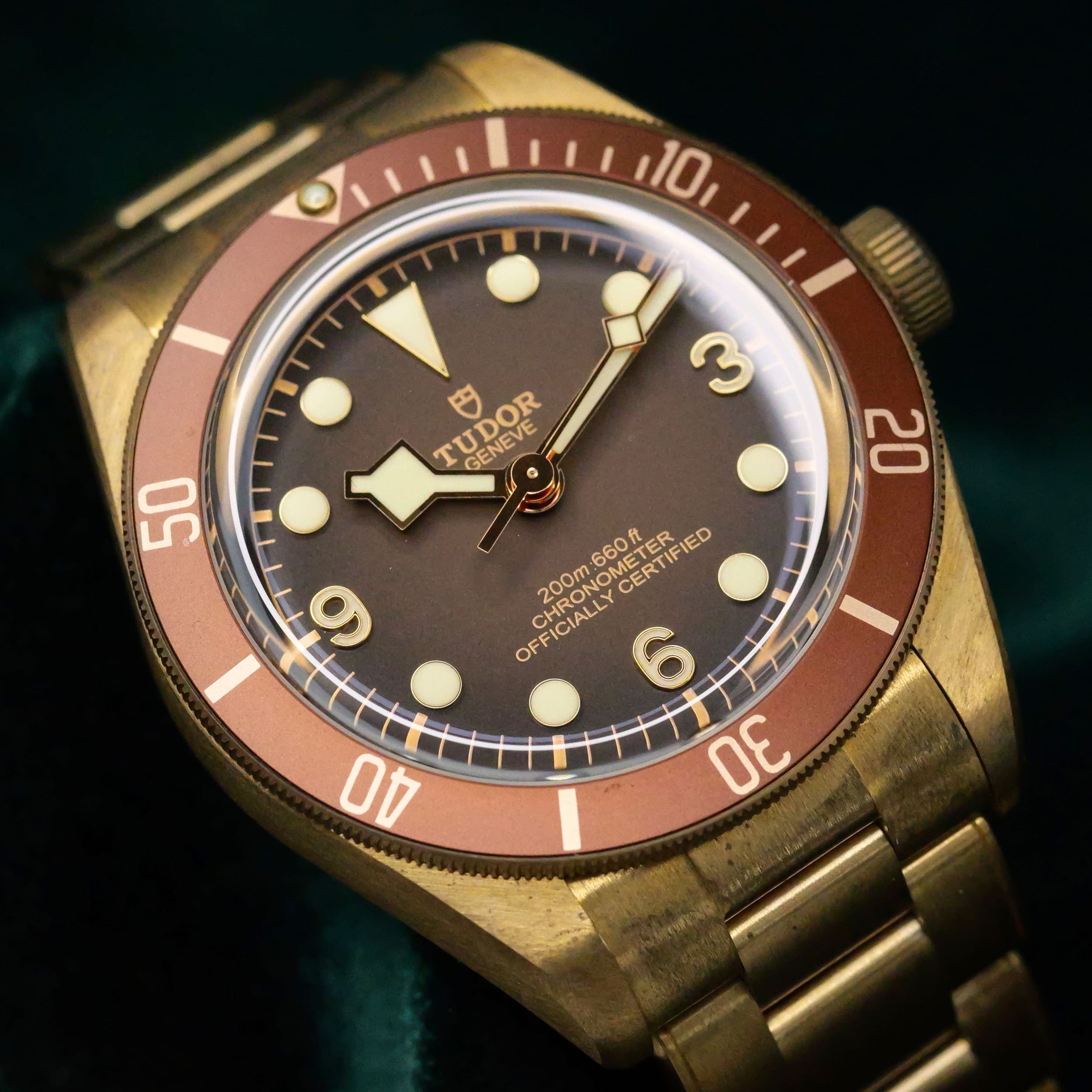 Tudor Black Bay