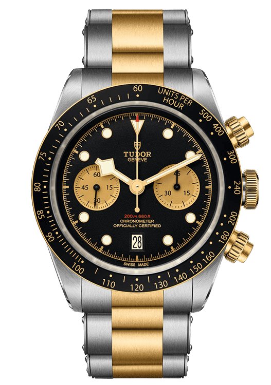 Tudor Black Bay