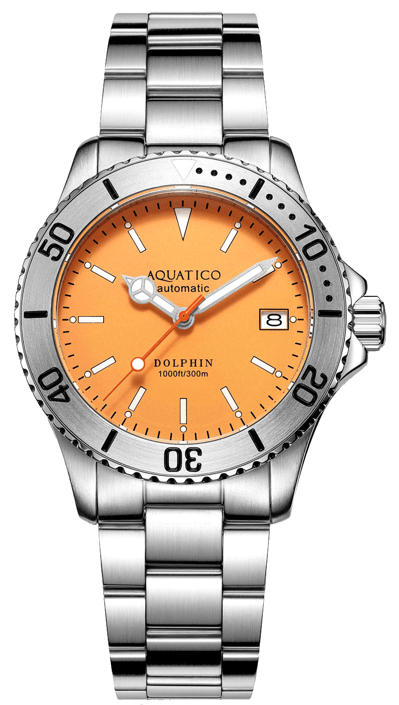 AQUATICO Dolphin